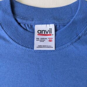 USA anvil cotton Teeシャツ