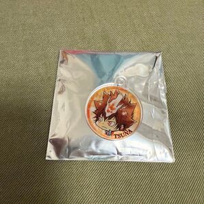 家庭教師ヒットマンREBORN! フェイスチャームコレクション 沢田綱吉