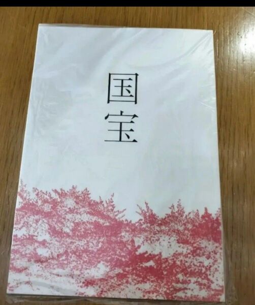 映画 国宝 パンフレット 吉沢亮 横浜流星 渡辺謙 寺島しのぶ 高畑充希