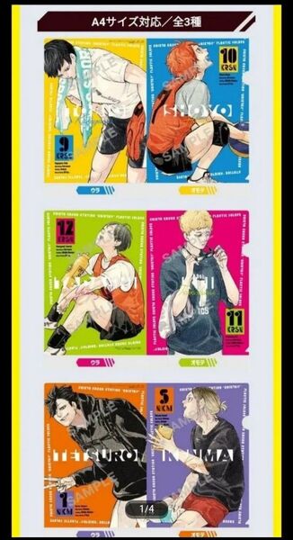 非売品 ハイキュー ハイキュー!! 最強ジャンプ クリアファイル 3点 台紙付 ガシャ 黒尾鉄朗 孤爪研磨 月島蛍 影山飛雄 日向