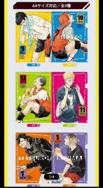 非売品 ハイキュー ハイキュー!! 最強ジャンプ クリアファイル 3点 台紙付 ガシャ 黒尾鉄朗 孤爪研磨 月島蛍 影山飛雄 日向