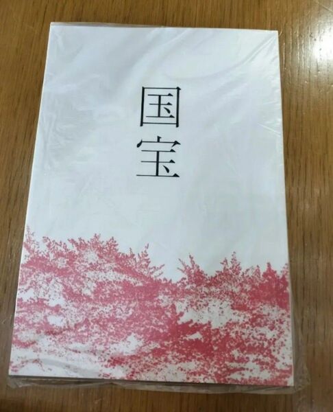 映画 国宝 パンフレット 吉沢亮 横浜流星 渡辺謙 寺島しのぶ 高畑充希