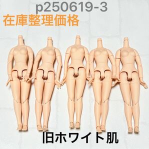 p0619-3 ボディ アイシードール
