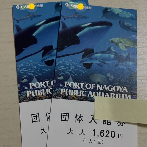 有効期限なし 名古屋港水族館 大人 2枚セット