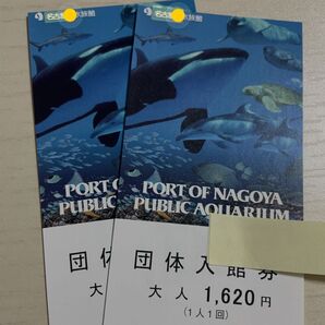 有効期限なし 名古屋港水族館 大人 2枚セット