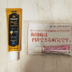 REACH プロポリテラ 40g &クリーンデンタル美白ケア 10g 歯磨き粉 2点セット