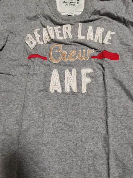 Abercombie & Fitch アバクロンビーアンドフィッチ ロゴワッペン付き半袖T