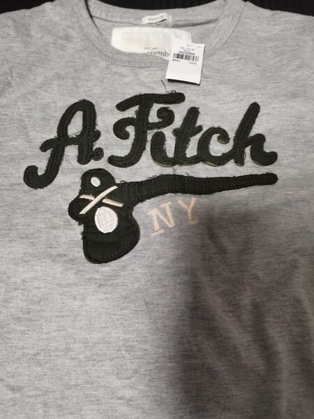 Abercombie & Fitch アバクロンビーアンドフィッチ 半袖T Lサイズ