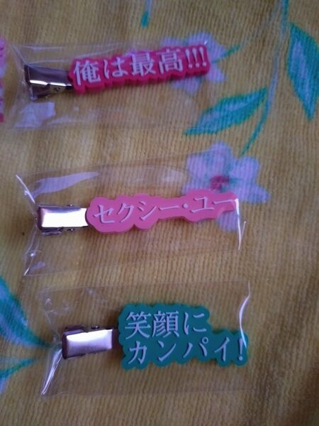 郷ひろみ CONCERTグッズ ヘアピン