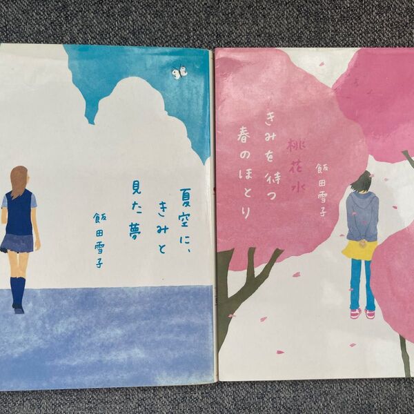 小説 夏空に、きみと見た夢 / きみを待つ春のほとり 2冊セット