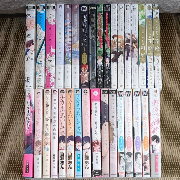 33冊まとめ売り■ピットスポルム■能美先輩の弁明■鬼上司獄寺さんは暴かれたい■ナカまであいして■虚空の月●あらた六花●百瀬あん 他