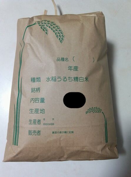 令和6年山形県産 はえぬき 10キロ