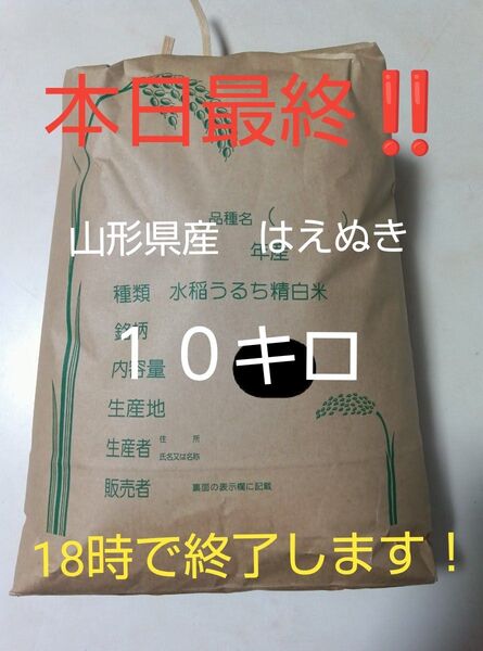 本日最終! 令和6年山形県産 はえぬき 10キロ
