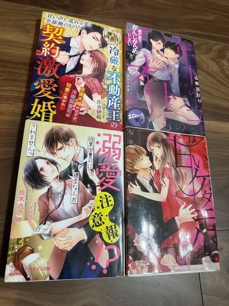 甘いケダモノ 桜朱理 年下の男 あなたのすべては俺のもの 山野辺りり 冷厳の不動産王の契約劇愛婚 佐倉伊織 溺愛注意報 腹黒