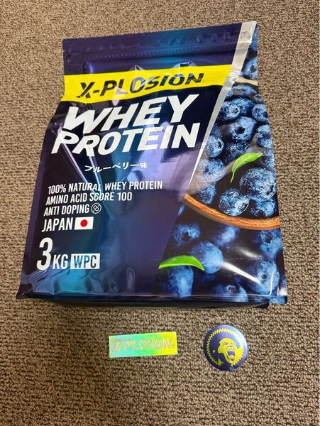 エクスプロージョン WPC 3kg ブルーベリー味 100%ホエイプロテイン 大容量