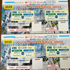 ナガシマスパーランド パスポート券 2枚