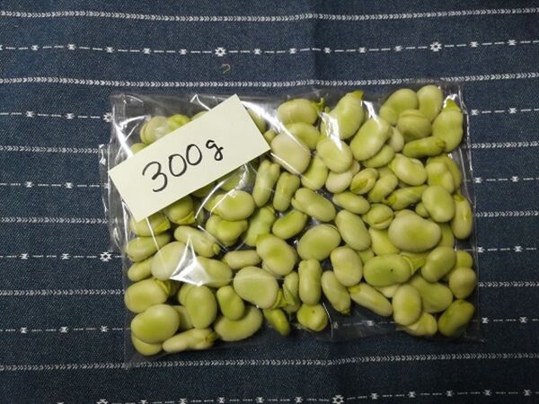 31【空豆むき身300g】ネコポス そら豆 ソラマメ むき実