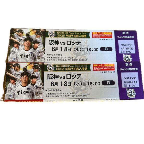 阪神タイガース 甲子園球場 ライト外野席 ペア チケット 2席連番(雨天補償あり)セパ交流戦