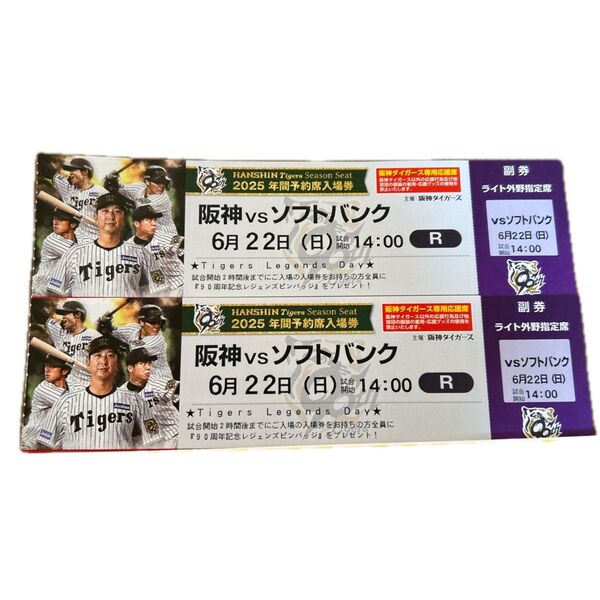阪神タイガース 甲子園球場 ライト外野席 ペア チケット 2席連番(雨天補償あり)セパ交流戦