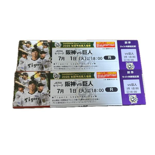阪神タイガース 甲子園球場 ライト外野席 ペア チケット 2席連番(雨天補償あり)
