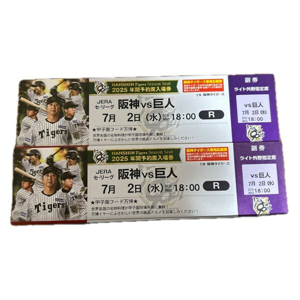 阪神タイガース 甲子園球場 ライト外野席 ペア チケット 2席連番(雨天補償あり)