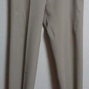 【2024秋冬モデル新品】ARC'TERYX VEILANCE SPERE PANT RUNE 30