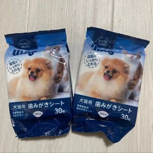 猫 歯磨きシート