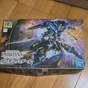 HG 1/144 ガンダムヴィダール
