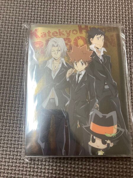 家庭教師ヒットマンREBORN リボーン ツナ 沢田綱吉 獄寺隼人 山本武 笹塚了平 雲雀恭弥 六道骸 ランボ ミニフォトアルバム