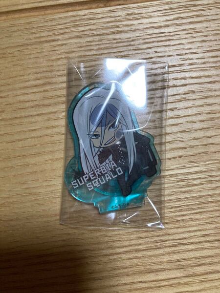 家庭教師ヒットマンREBORN リボーン スクアーロ アクリルスタンド アクスタ