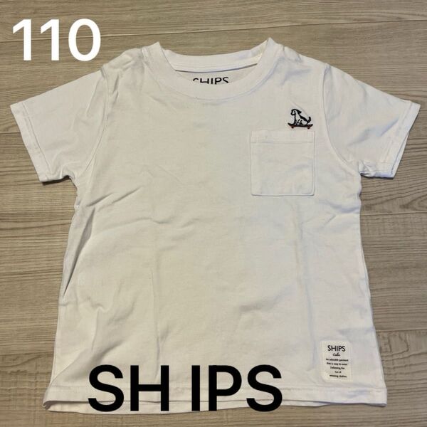 Tシャツ 半袖Tシャツ ホワイト 白 キッズ 110 シップス 犬
