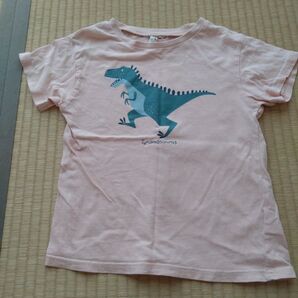 恐竜Tシャツ ピンク 120