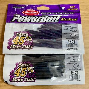 Berkley (バークレイ) マックスセント ジェネラル 4インチ (JB・BBF) その2