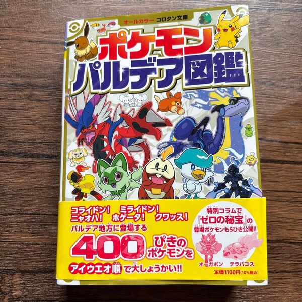 ポケモン パルデア図鑑