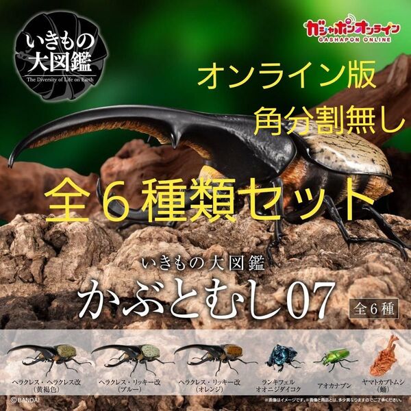 いきもの大図鑑かぶとむし07 オンライン版 全6種類セット 角分割無し 新品未開封