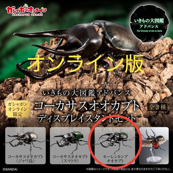 モーレンカンプオオカブト いきもの大図鑑アドバンス ディスプレイスタンドセット付 新品未開封