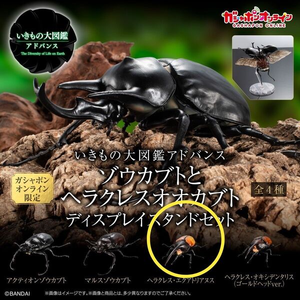 ヘラクレスエクアトリアヌス オンライン版 いきもの大図鑑アドバンス 角分割無し 新品未開封