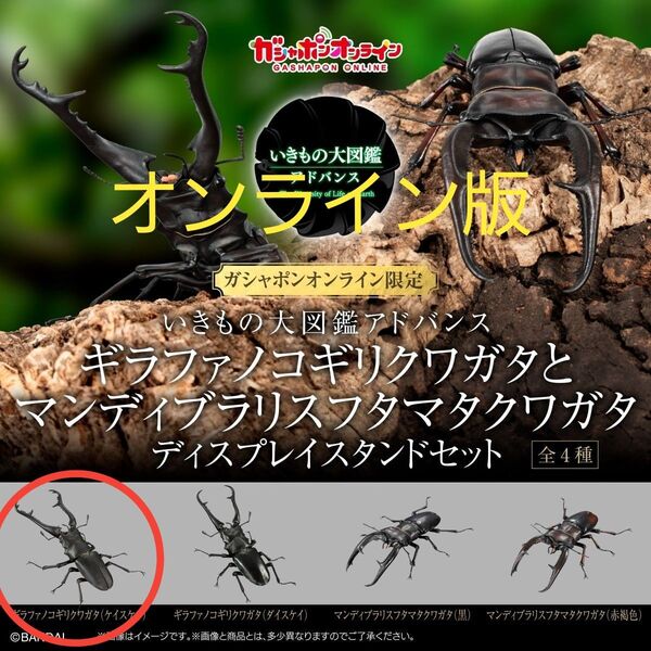 ギラファノコギリクワガタ ケイスケイ いきもの大図鑑アドバンス オンライン版 新品未開封