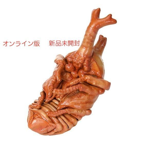 ヤマトカブトムシ 蛹 いきもの大図鑑かぶとむし07 オンライン版 新品未開封
