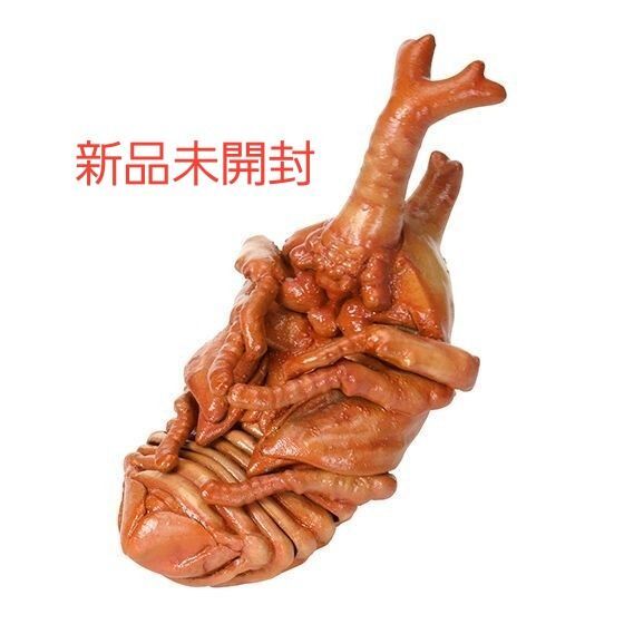 ヤマトカブトムシ 蛹 いきもの大図鑑かぶとむし07 オンライン版 新品未開封