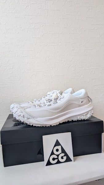 【未使用】NIKE × コムデギャルソンオムプリュス 28cm