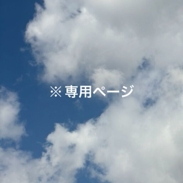 しまむら リトシー プリンス Tシャツ 3点(120,130,180)新品未使用