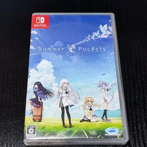 Switch Summer Pockets