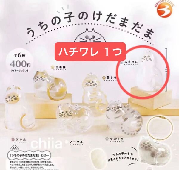 正規品 うちの子のけだまだま ハチワレ ガチャガチャ 毛玉 猫 カプセルトイ ねこ ネコ 入れ物 はちわれ