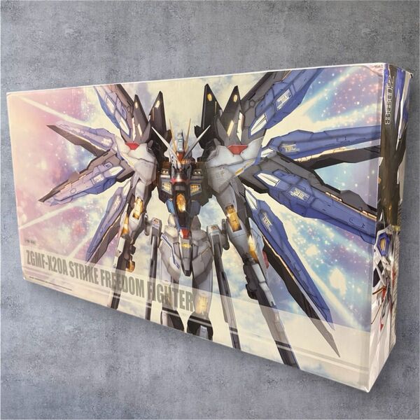 【即発送】MG STRIKE FREEDOM FIGHTER海外製8802