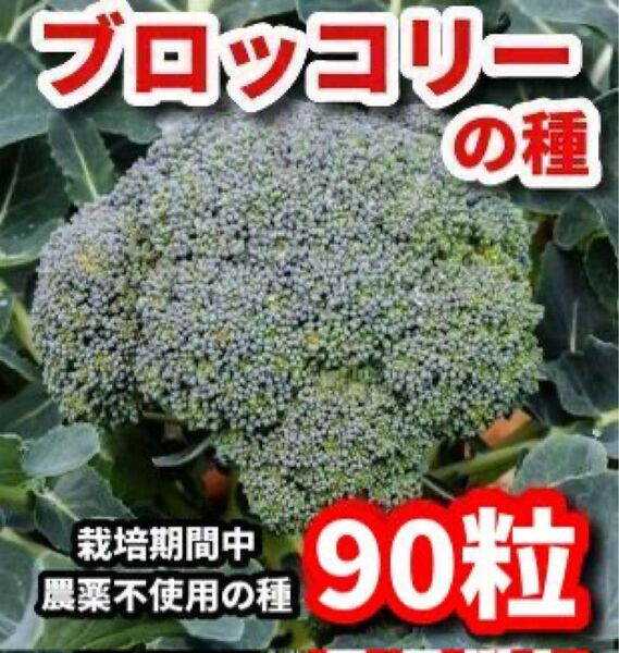 ブロッコリーの種【90粒】★栽培期間中農薬不使用の種