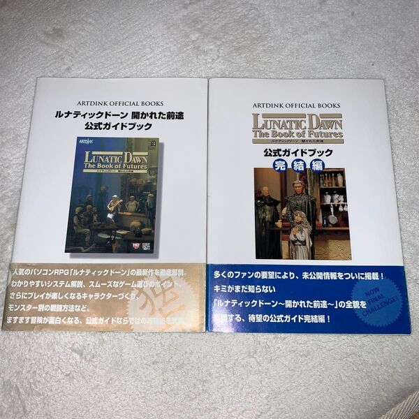 ルナティックドーン開かれた前途公式ガイドブック Windows95 と 完結編 2冊セットです。
