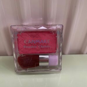CANMAKE パウダーチークス PW34