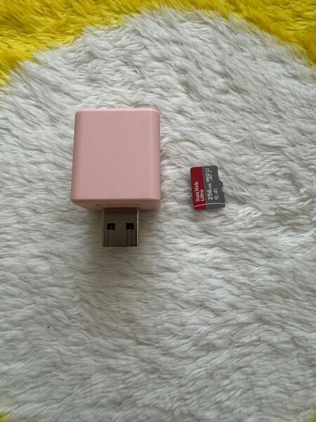 Qubii microSD256GB付き