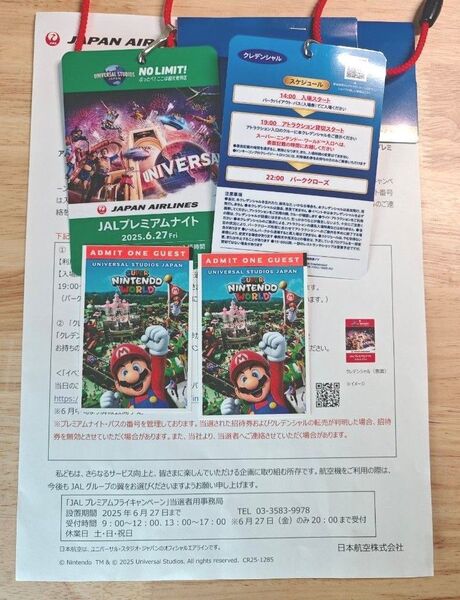 USJ 6/27(金) JAL貸切プレミアムナイト ペアチケット